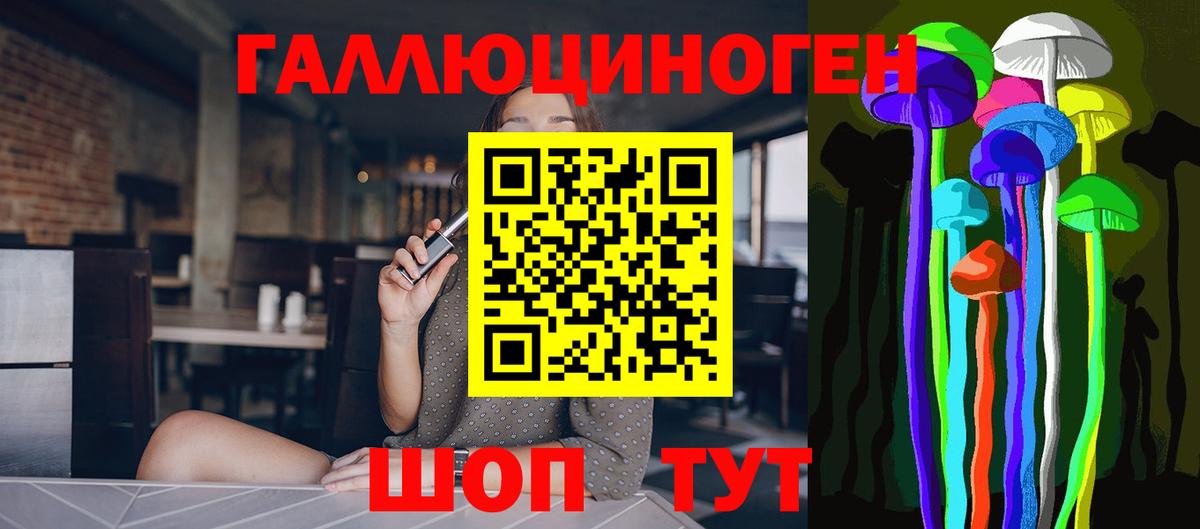 как найти   Галлюциногенные грибы MAGIC MUSHROOMS  Псилоцибиновые грибы Cubensis  Вход с VPN  Чехов 